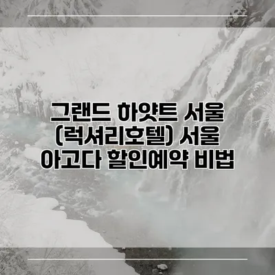그랜드 하얏트 서울 (럭셔리호텔) 서울 아고다 할인예약 비법