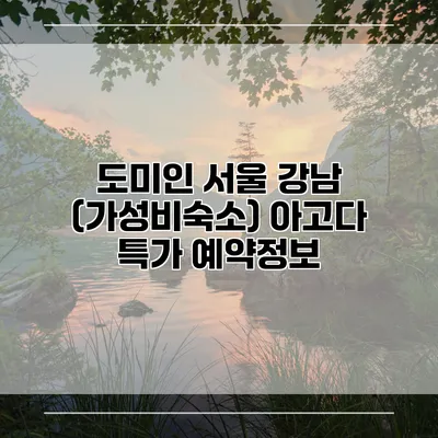 도미인 서울 강남 (가성비숙소) 아고다 특가 예약정보