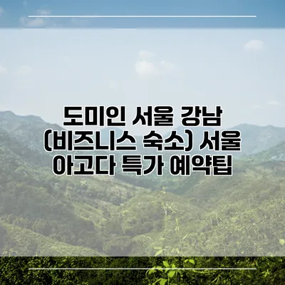 도미인 서울 강남 (비즈니스 숙소) 서울 아고다 특가 예약팁
