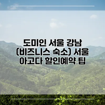 도미인 서울 강남 (비즈니스 숙소) 서울 아고다 할인예약 팁