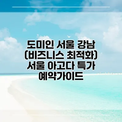 도미인 서울 강남 (비즈니스 최적화) 서울 아고다 특가 예약가이드