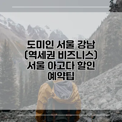 도미인 서울 강남 (역세권 비즈니스) 서울 아고다 할인 예약팁