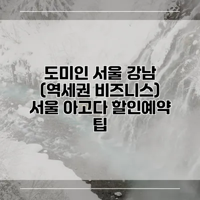 도미인 서울 강남 (역세권 비즈니스) 서울 아고다 할인예약 팁