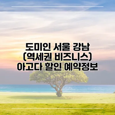 도미인 서울 강남 (역세권 비즈니스) 아고다 할인 예약정보