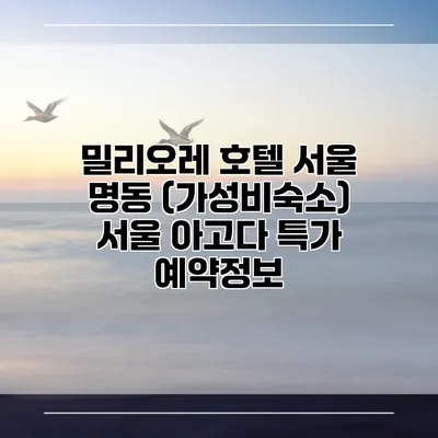 밀리오레 호텔 서울 명동 (가성비숙소) 서울 아고다 특가 예약정보