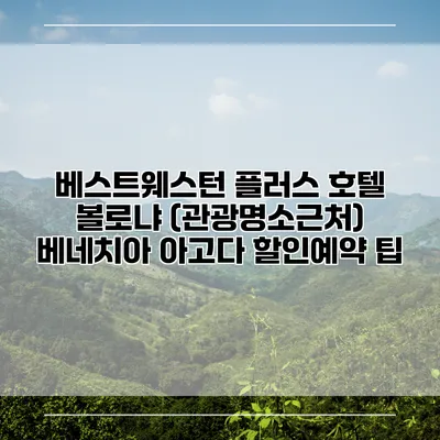 베스트웨스턴 플러스 호텔 볼로냐 (관광명소근처) 베네치아 아고다 할인예약 팁