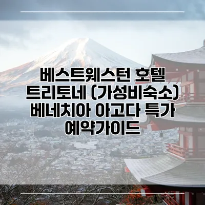 베스트웨스턴 호텔 트리토네 (가성비숙소) 베네치아 아고다 특가 예약가이드
