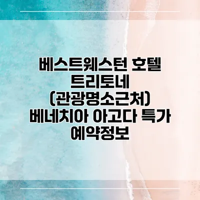 베스트웨스턴 호텔 트리토네 (관광명소근처) 베네치아 아고다 특가 예약정보