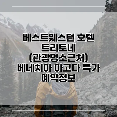 베스트웨스턴 호텔 트리토네 (관광명소근처) 베네치아 아고다 특가 예약정보
