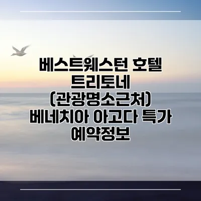 베스트웨스턴 호텔 트리토네 (관광명소근처) 베네치아 아고다 특가 예약정보