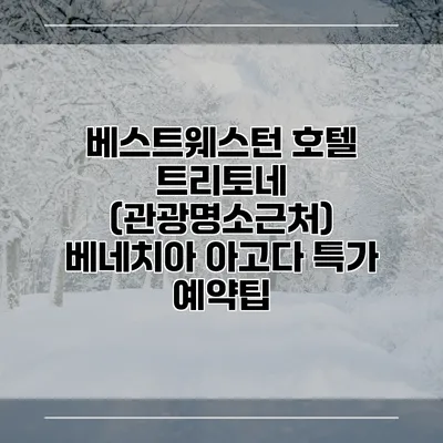 베스트웨스턴 호텔 트리토네 (관광명소근처) 베네치아 아고다 특가 예약팁