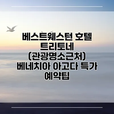 베스트웨스턴 호텔 트리토네 (관광명소근처) 베네치아 아고다 특가 예약팁