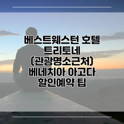 베스트웨스턴 호텔 트리토네 (관광명소근처) 베네치아 아고다 할인예약 팁