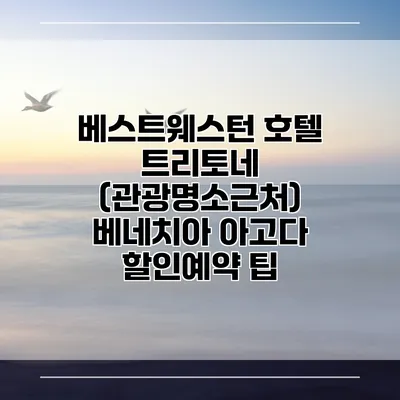 베스트웨스턴 호텔 트리토네 (관광명소근처) 베네치아 아고다 할인예약 팁