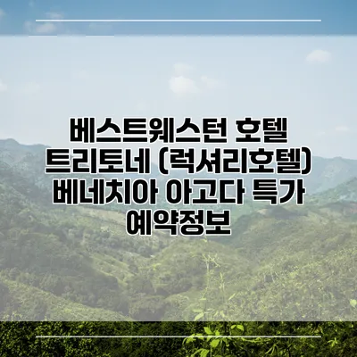 베스트웨스턴 호텔 트리토네 (럭셔리호텔) 베네치아 아고다 특가 예약정보