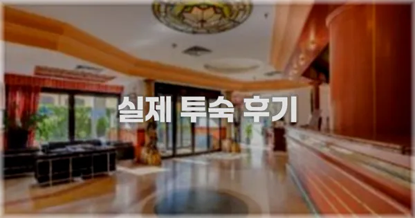 💬 실제 투숙 후기