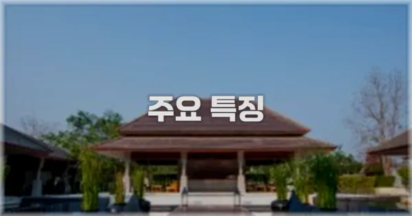 ✨ 주요 특징