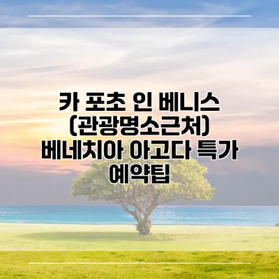 카 포초 인 베니스 (관광명소근처) 베네치아 아고다 특가 예약팁