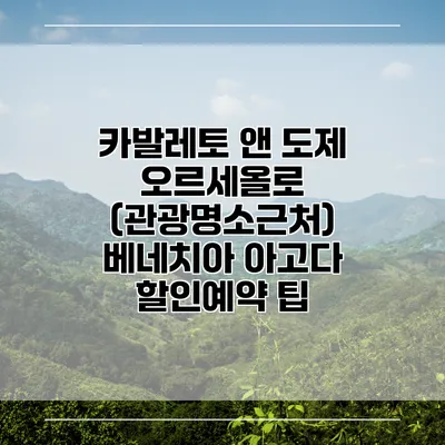 카발레토 앤 도제 오르세올로 (관광명소근처) 베네치아 아고다 할인예약 팁
