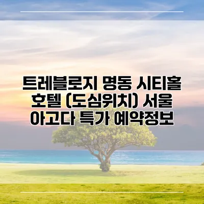 트레블로지 명동 시티홀 호텔 (도심위치) 서울 아고다 특가 예약정보
