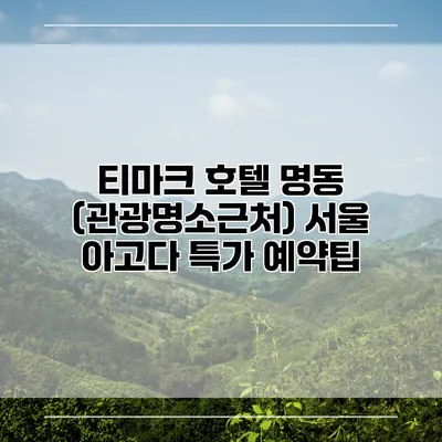 티마크 호텔 명동 (관광명소근처) 서울 아고다 특가 예약팁