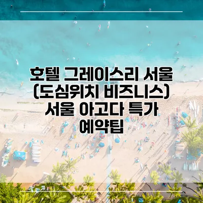 호텔 그레이스리 서울 (도심위치 비즈니스) 서울 아고다 특가 예약팁