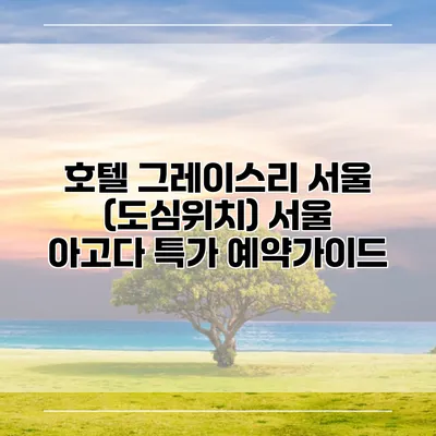 호텔 그레이스리 서울 (도심위치) 서울 아고다 특가 예약가이드