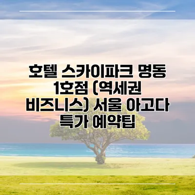 호텔 스카이파크 명동 1호점 (역세권 비즈니스) 서울 아고다 특가 예약팁