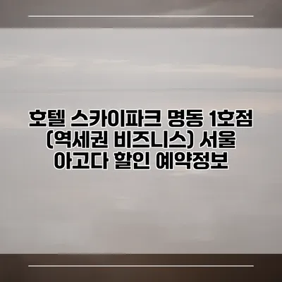 호텔 스카이파크 명동 1호점 (역세권 비즈니스) 서울 아고다 할인 예약정보