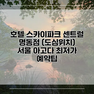호텔 스카이파크 센트럴 명동점 (도심위치) 서울 아고다 최저가 예약팁