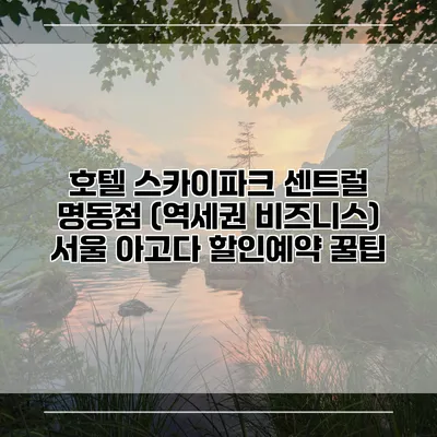 호텔 스카이파크 센트럴 명동점 (역세권 비즈니스) 서울 아고다 할인예약 꿀팁