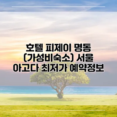 호텔 피제이 명동 (가성비숙소) 서울 아고다 최저가 예약정보