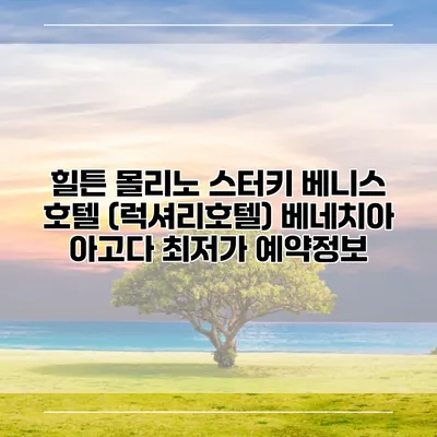 힐튼 몰리노 스터키 베니스 호텔 (럭셔리호텔) 베네치아 아고다 최저가 예약정보