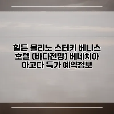 힐튼 몰리노 스터키 베니스 호텔 (바다전망) 베네치아 아고다 특가 예약정보